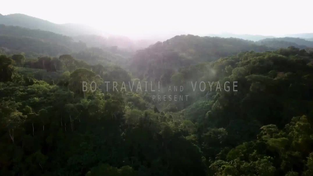 Today in Africa Series 1 4 of 4 Gabon The Sentinels of the Forest