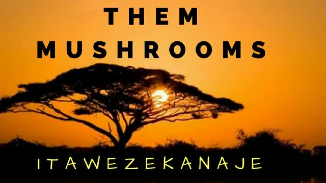 ⁣Itawezekanaje - Them Mushrooms