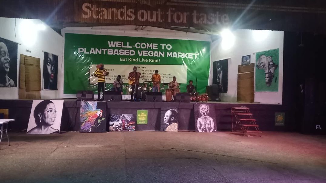 ⁣Vibrant Vegan Festival performance