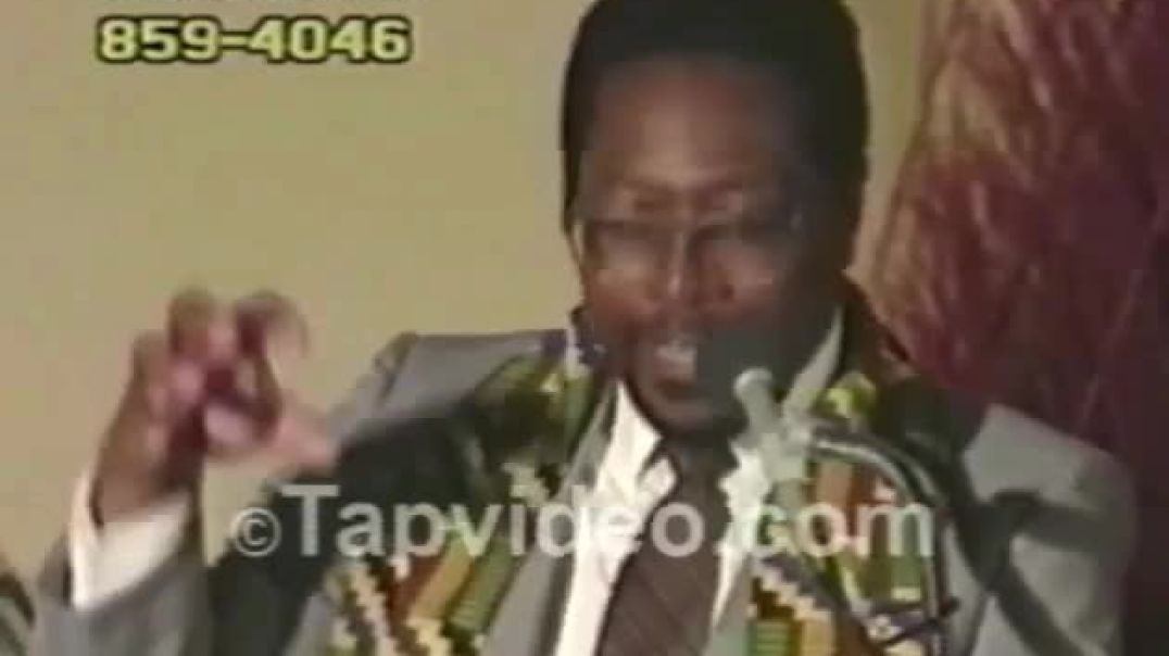 ⁣Nana Amos Wilson - Our Wealth is Our Consciousness (shorter version)