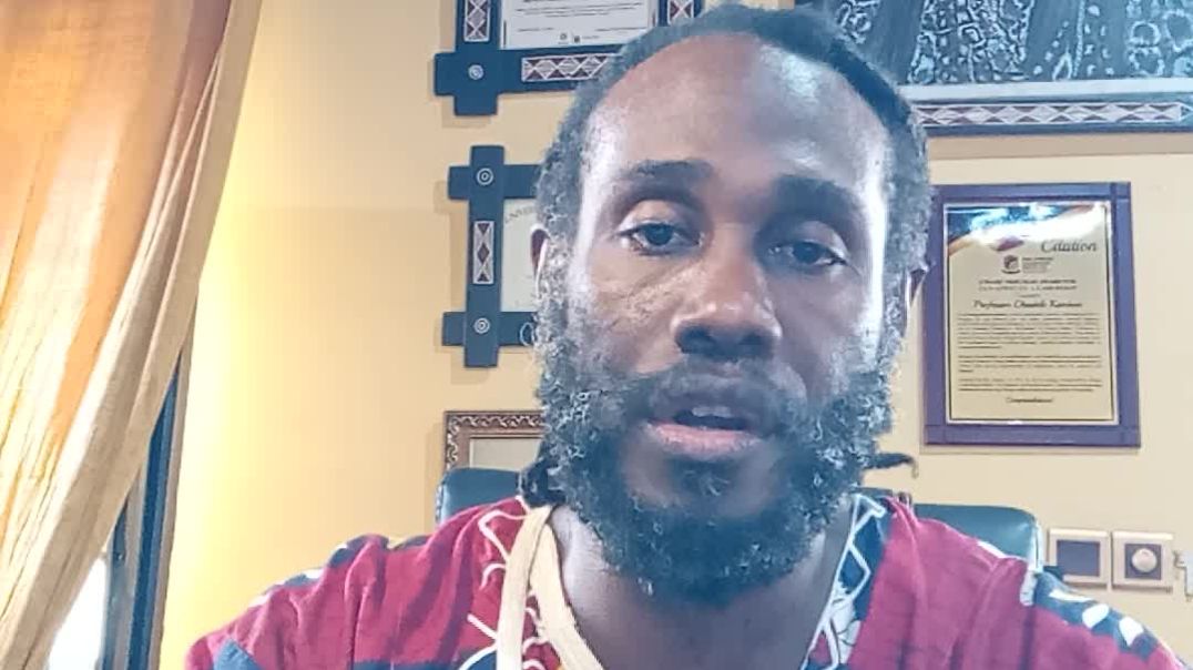 ⁣How Processed “Health” Foods are Poisoning the Black Body | Citizenship, Investment & Sankɔfa Jo