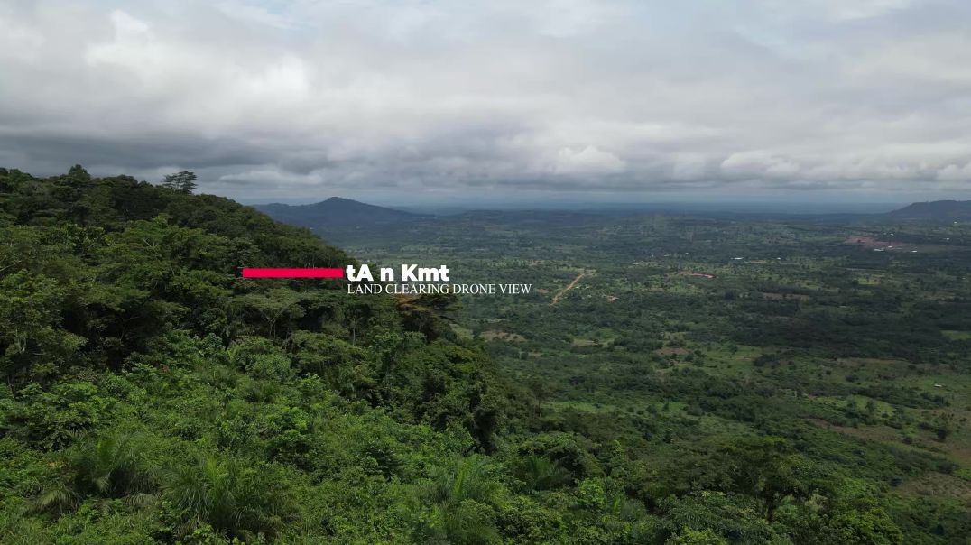 ⁣tA n Kmt land clearing