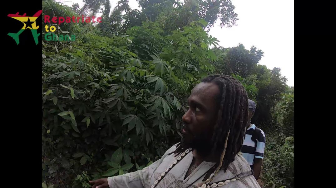 Agya Yaw Pereko Ababio Land Walkthrough