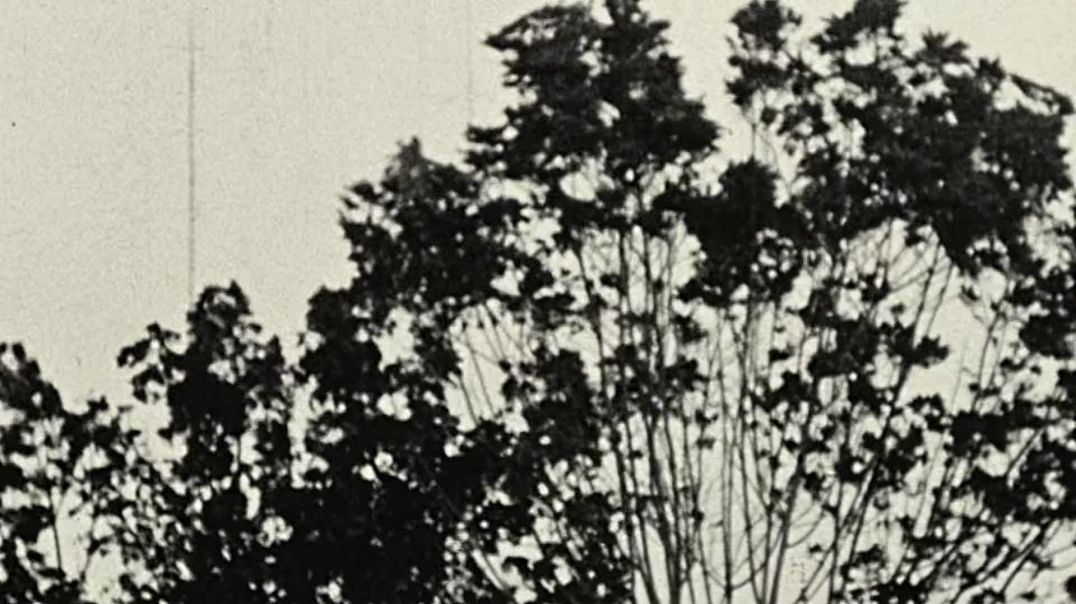 Soundtrack to a Coup d'Etat