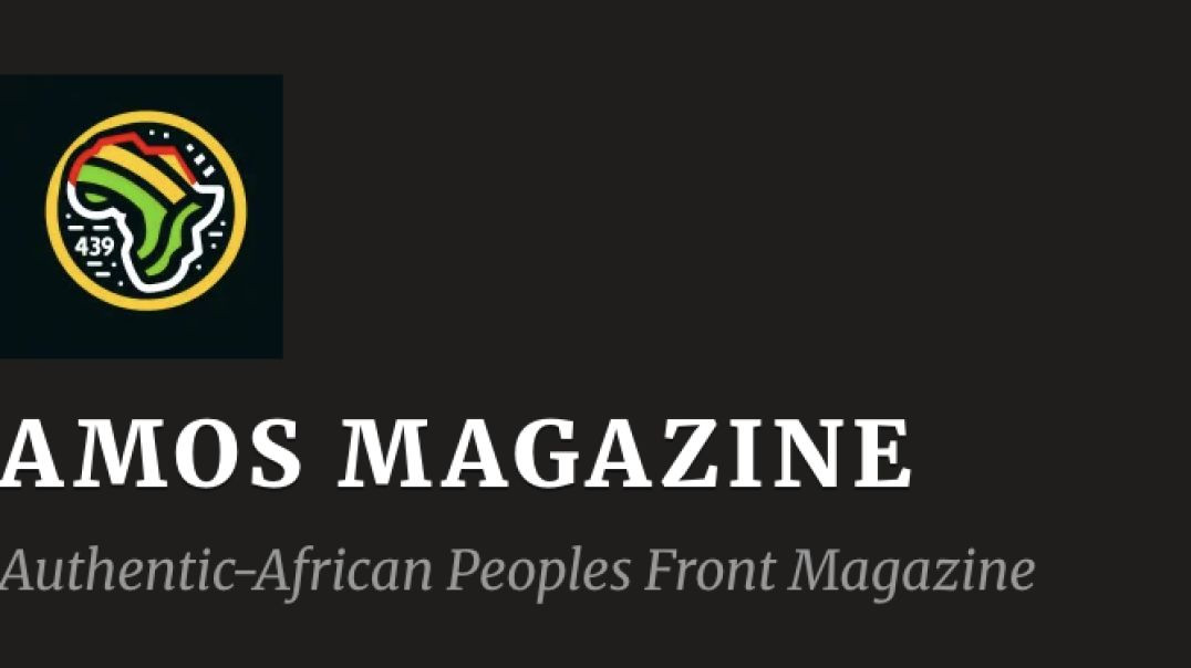 12 Years ago I predicted the rise of the AES and gave the Blueprint to Black Power