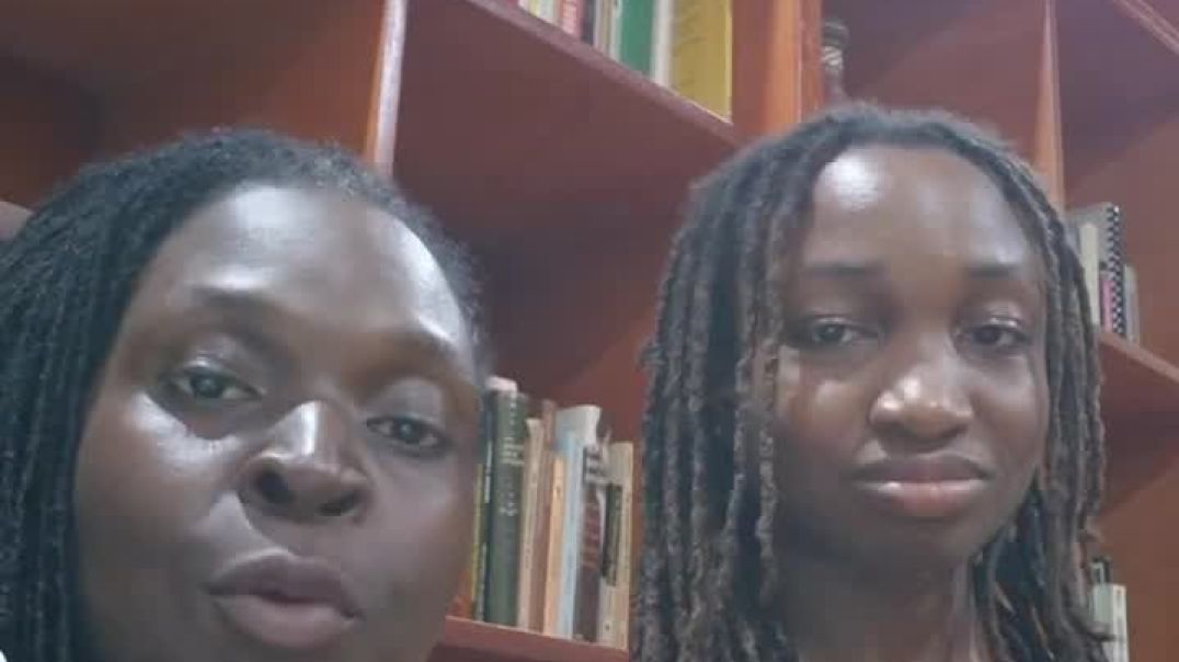 Please Sign and Share The Black Agenda Ghana Reparative Citizenship Petition #shorts
