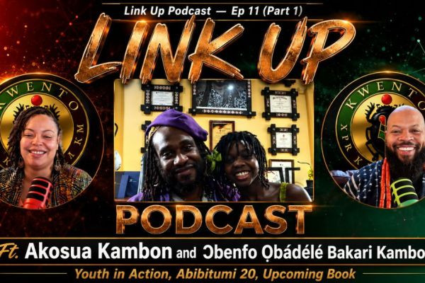 Youth in Action + 20 Years of Abibitumi | Link Up Podcast Ep. 11, Part 1