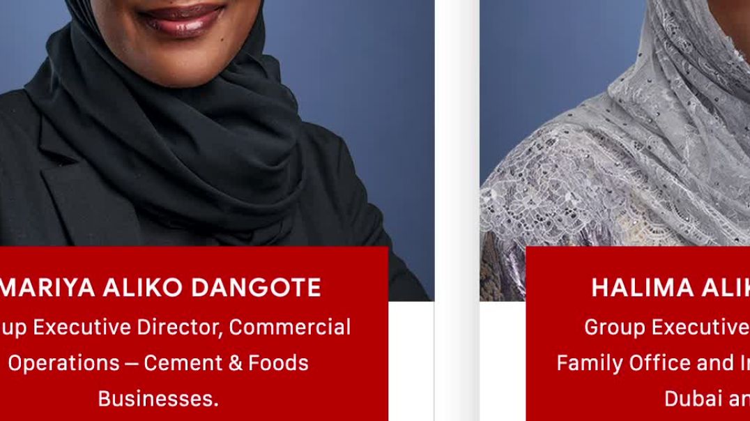 Under The Hood of Dangote not Pan Africanist might simply be a Black Face